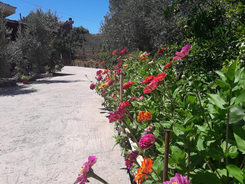 Domu De Palla- Iun-E5167 Bauladu Buitenkant foto